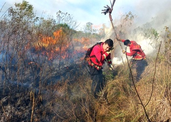 Heladas, pastizales secos y viento: la combinación que favoreció la propagación del incendio en Campo San Juan