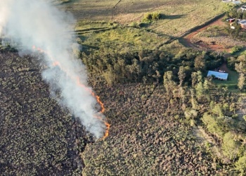 Incendios en Misiones: casi 80 hectáreas afectadas y un amplio despliegue de Bomberos