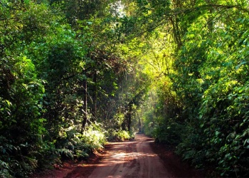 Ecología frenó un proyecto turístico en las 600 Hectáreas y ordenó restaurar áreas desmontadas