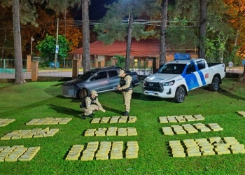 Decomisaron más de 300 kilos de marihuana en Misiones