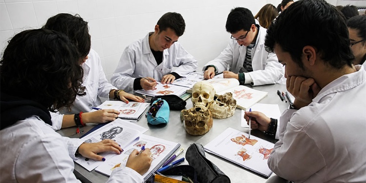 Imagen ilustrativa