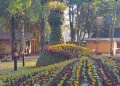 Montecarlo se prepara para una nueva edición de la Fiesta Nacional de la Orquídea y Provincial de la Flor