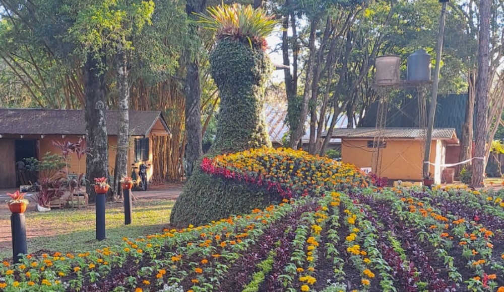 Montecarlo se prepara para una nueva edición de la Fiesta Nacional de la Orquídea y Provincial de la Flor