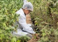 La sustentabilidad y el camino a convertirse en un negocio