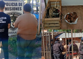 Cayó ladrón de cables y medidores de agua en la chacra 181 de Posadas