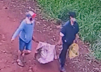 Detuvieron a uno de los acusados de robar casi una tonelada de mandioca