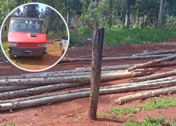 Robo de madera en Posadas: cinco hombres fueron atrapados con 15 troncos de eucalipto