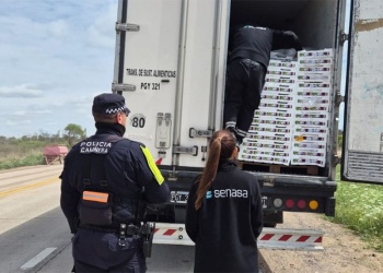 Interceptaron más de 31 toneladas de frutas que salieron de Misiones con documentación apócrifa