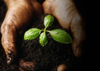 San Vicente será el punto de partida de un relevamiento provincial sobre educación ambiental