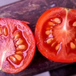 extraccion-semillas-de-tomate-maduro