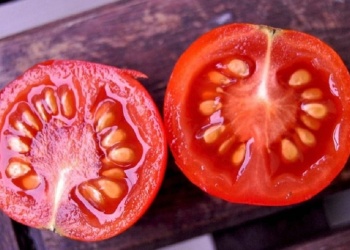 extraccion-semillas-de-tomate-maduro