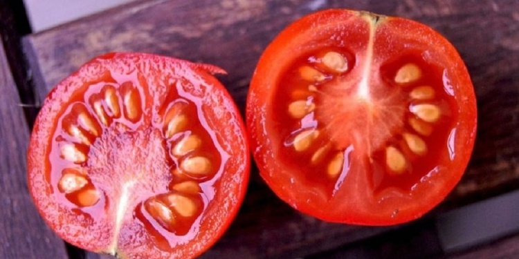 extraccion-semillas-de-tomate-maduro