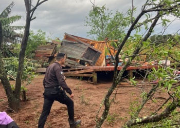 “Muchas líneas quedaron totalmente irrecuperables”: cómo se reconstruye la red tras el tornado en Cruce Caballero