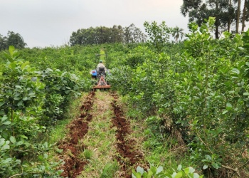 Producción y ambiente: el aporte del INTA en San Pedro