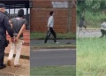 Apareció en videos atacando a peatones en Posadas y terminó nuevamente detenido