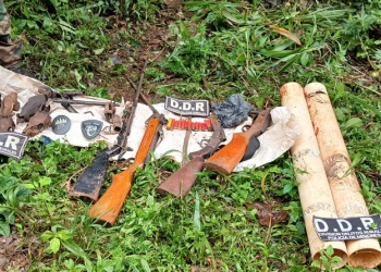 Desmantelaron punto de caza furtiva, hallaron armas y restos de animales