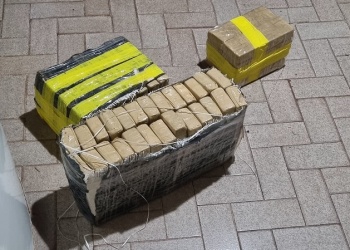 Desbaratan red narco en Oberá, tras secuestrar marihuana valuada en 2 mil millones de pesos