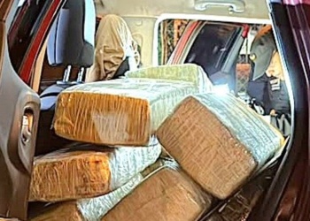 Joven de 19 años imputado por narcotráfico