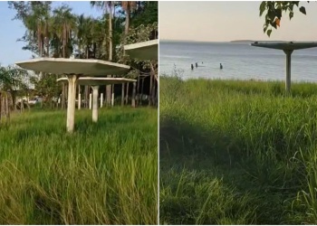 Vecinos de Candelaria piden la limpieza de la playa El Puma