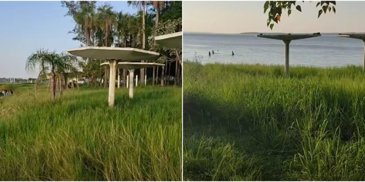 PELIGROSO. Pese al avance del pasto sobre los quinchos y la playa, la gente igual llega a meterse al agua.