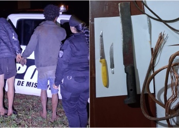 Apóstoles: detuvieron a dos hombres por robar cables de un transformador