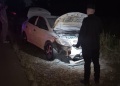 Siniestro sobre la ruta 14: un auto impactó contra una vaca y despistó