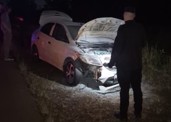 Siniestro sobre la ruta 14: un auto impactó contra una vaca y despistó