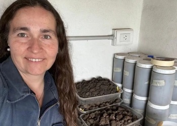 Polémica por la exoneración de una científica del INTA que investigaba pesticidas
