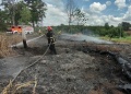 Fuego en distintos puntos de Misiones: seis localidades quedaron bajo el despliegue de Bomberos