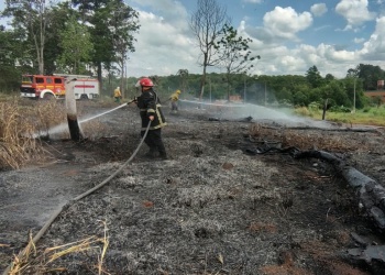 Fuego en distintos puntos de Misiones: seis localidades quedaron bajo el despliegue de Bomberos