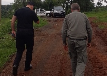 Se investiga la posible presencia de yaguaretés en zonas rurales de dos ciudades misioneras