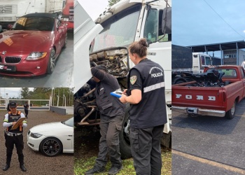 Autos de lujo y camiones con adulteraciones: ya son 24 los vehículos secuestrados