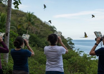 De Iguazú a Santa Ana: Volar 2026 muda al sur su gran encuentro de observación de aves