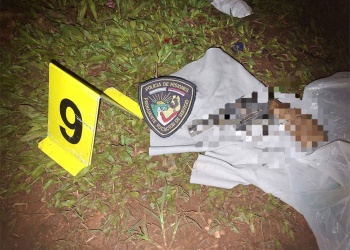 Del ruido de una moto a un homicidio: la pelea que terminó con un joven muerto en Garuhapé