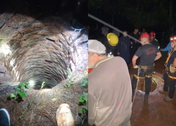 Ganó la negligencia: un caballo no resistió y murió tras caer a un pozo de 20 metros en Garupá