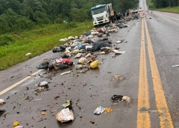 Despistó un camión recolector de residuos sobre la ruta 12 en Colonia Victoria