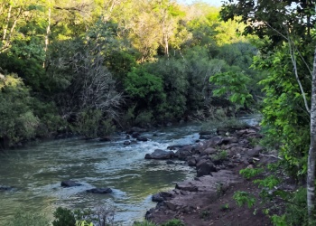 El encanto rústico está en Bonpland: Camping El Faisán