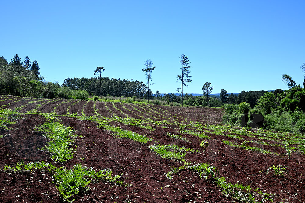 Cuenca sandiera del Cuña Pirú