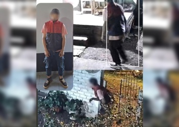 Oberá: se hicieron pasar por compradores y recuperaron un horno robado