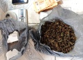 Un hijo de un director de la Policía investigado por un narcodelivery de cocaína y marihuana