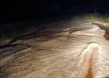 En Campo Viera temen que los daños del granizo en los yerbales repercutan en la próxima cosecha