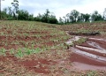 El granizo agrava las pérdidas tabacaleras mientras la Nación aún adeuda compensaciones del año pasado