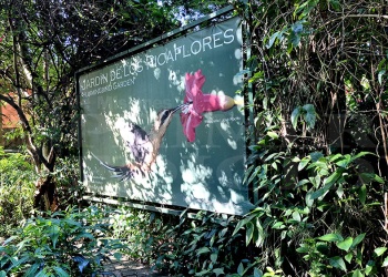 El rincón secreto de Iguazú donde los colibríes son protagonistas