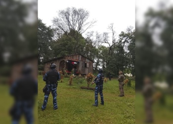 Detuvieron a un hombre por el robo y faena de un vacuno en San Vicente