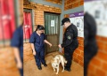 Detuvieron a un hombre acusado de maltratar a su cachorro en Oberá
