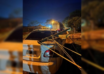 Un camión enganchó cables eléctricos y provocó la caída de un poste sobre un auto en Jardín América