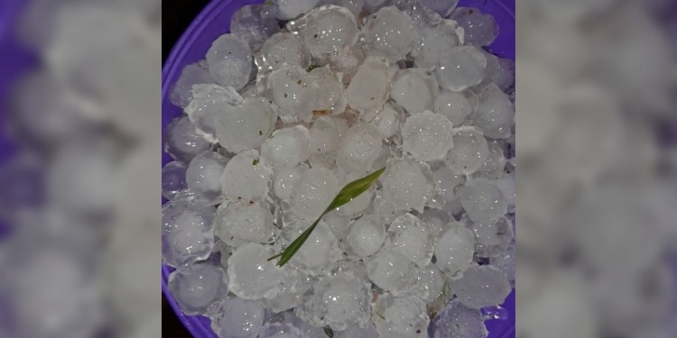 El granizo se hizo sentir en varias localides: foto, gentileza Pronóstico del Litoral