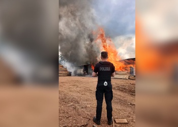 Un incendio afectó el depósito de madera de un aserradero en San Vicente