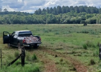 Insólito: un hombre sufrió graves quemaduras, tras caer un cable de alta tensión sobre su camioneta