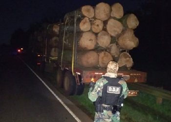 Caraguatay: Transportaban 70 rollos de madera sin documentación y terminaron demorados